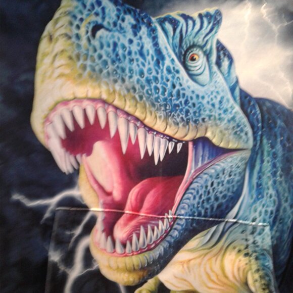 Blue T-Rex Fleece Pullover Hoodie  kids , size - XS . - Picture 3 of 3